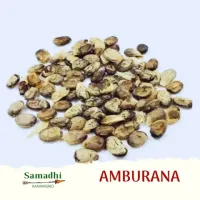 Imagem de Sementes de Amburana 30g